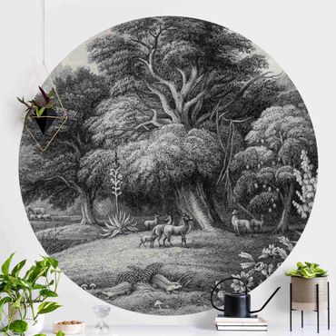 Self-adhesive round wallpaper - Tropical Copperplate Engraving In Warm Grey