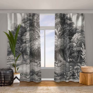 Curtain - Tropical Copperplate Engraving In Warm Grey