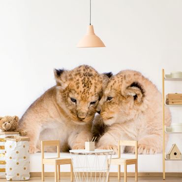 Wallpaper - Two Lion Babys