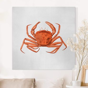 Canvas print - Vintage Illustration Red Crab - Square 1:1