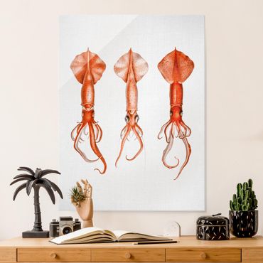 Glass print - Vintage Illustration Red Squid