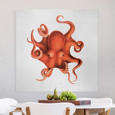 Canvas print - Vintage Illustration Red Octopus - Square 1:1