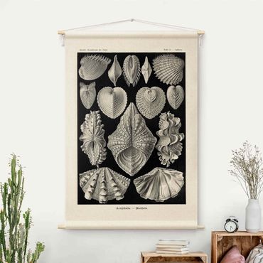 Tapestry - Vintage Teaching Illustration Clams ll