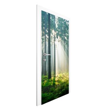 Door wallpaper - Enlightened Forest