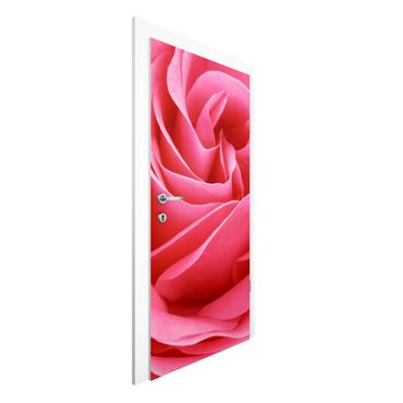 Door wallpaper - Lustful Pink Rose