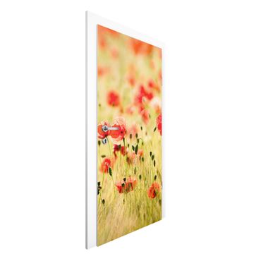 Door wallpaper - Summer Poppies