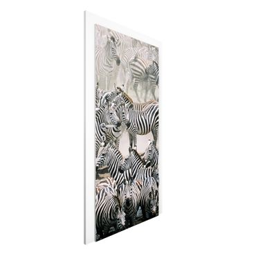 Door wallpaper - Zebra Herd