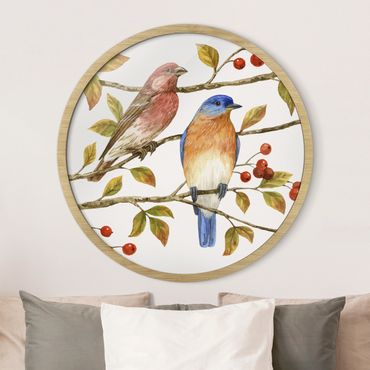 Circular framed print - Birds And Berries - Bluebird