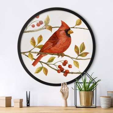 Circular framed print - Birds And Berries - Northern Cardinal