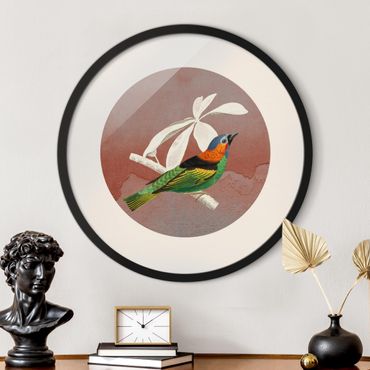 Circular framed print - Bird Collage In A Circle ll