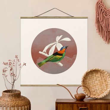 Fabric print with poster hangers - Bird Collage In A Circle ll - Square 1:1