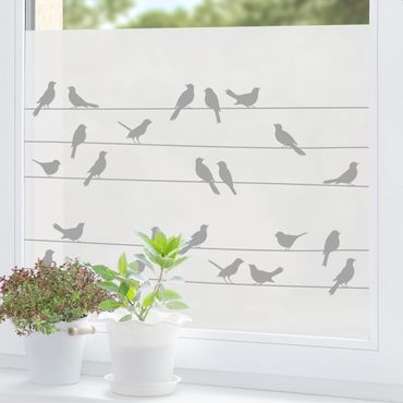 Window film - Flock Of Birds