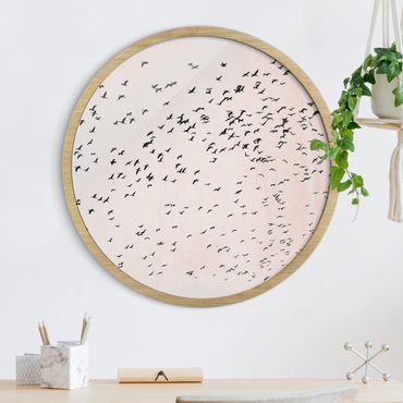 Circular framed print - Flock Of Birds In The Sunset