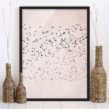 Framed poster - Flock Of Birds In The Sunset
