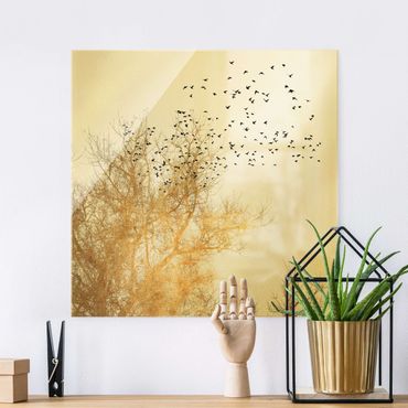 Glass print - Flock Of Birds In Front Of Golden Tree