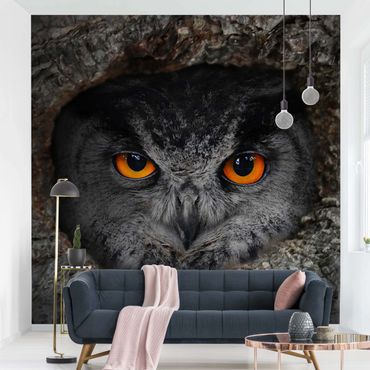 Wallpaper - Watching Owl
