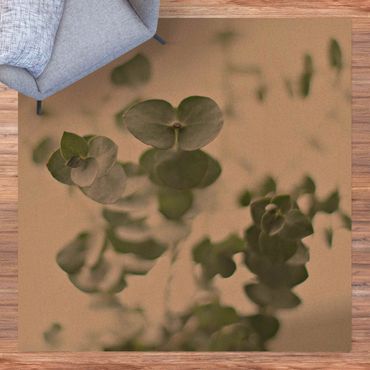 Cork mat - Growing Eucalyptus - Square 1:1