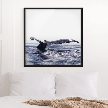 Framed poster - Whale Song On Iceland
