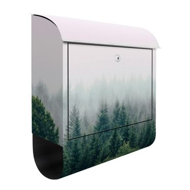 Letterbox - Foggy Forest Twilight
