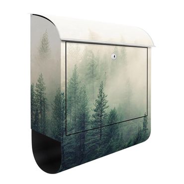 Letterbox - Foggy Forest Awakening