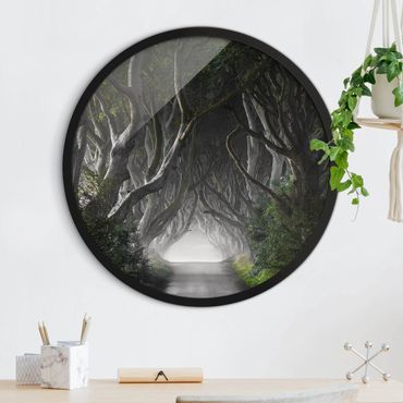 Circular framed print - Forest In Northern Ireland