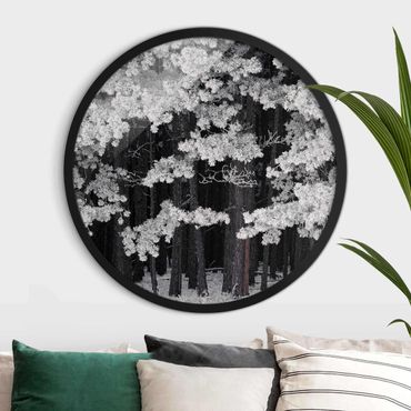 Circular framed print - Forest With Rime In Austria