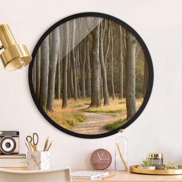 Circular framed print - Forest Track In Northern Germany