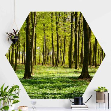 Self-adhesive hexagonal pattern wallpaper - Forest Meadow
