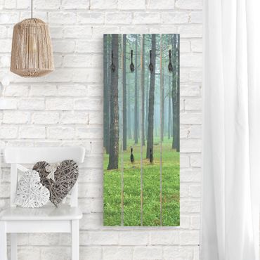 Wooden coat rack - Deep Forest With Pine Trees On La Palma