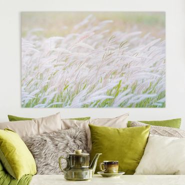 Canvas print - Soft Grasses