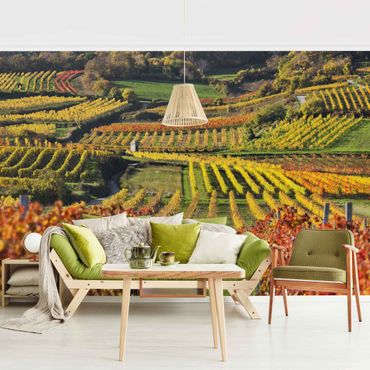 Wallpaper - Vineyard View