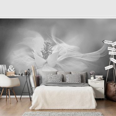 Wallpaper - White Aquilegia Black And White