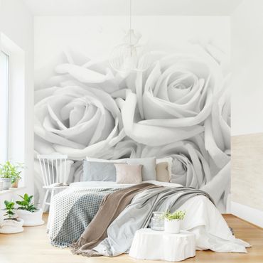 Wallpaper - White Roses Black And White