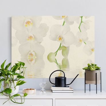 Natural canvas print - Spa Orchid - White Orchid - Landscape format 4:3