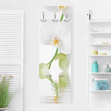 Coat rack flowers - Spa Orchid - White Orchid