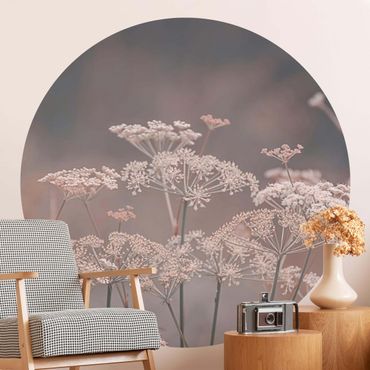 Self-adhesive round wallpaper - Wild Apiaceae
