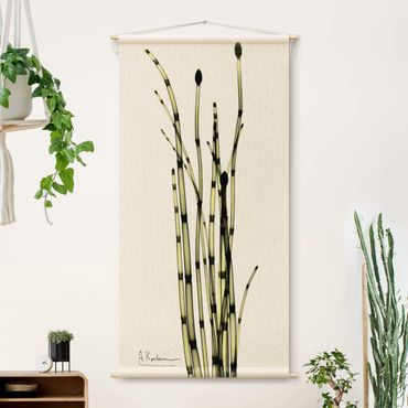 Tapestry - X-Ray - Horsetails