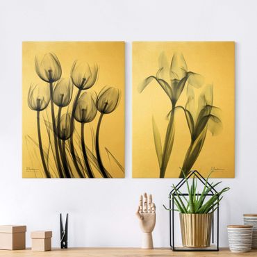 Print on canvas - X-Ray - Tulips & Iris
