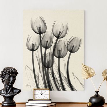 Natural canvas print - X-Ray - Tulips - Portrait format 3:4