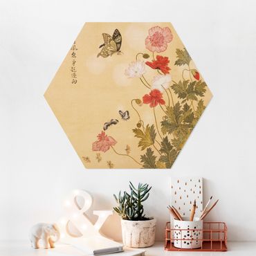 Forex hexagon - Yuanyu Ma - Poppy Flower And Butterfly