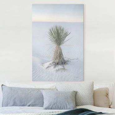 Canvas print - Yucca palm in white sand - Portrait format2:3