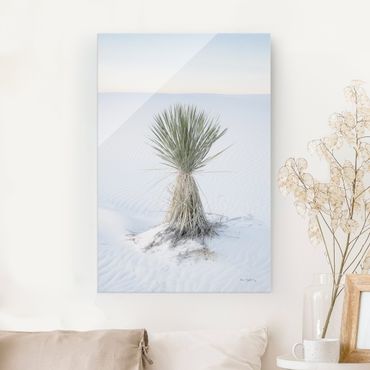 Glass print - Yucca palm in white sand