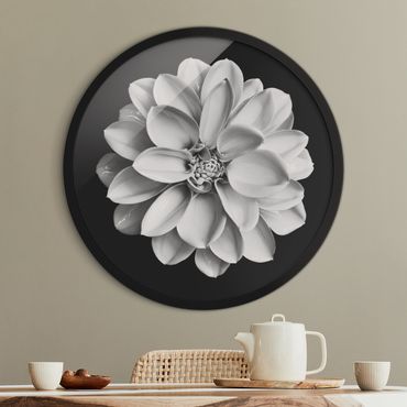 Circular framed print - Delicate Dahlia In Black And White