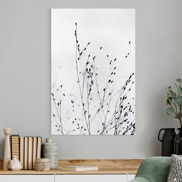 Canvas print - Soft Grasses In Nearby Shadow