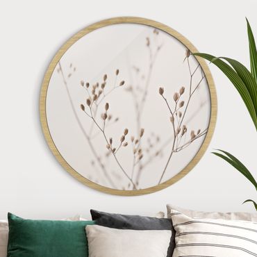 Circular framed print - Delicate Buds On A Wildflower Stem
