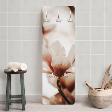Coat rack modern - Delicate Magnolia Flowers In An Interplay Of Light And Shadows
