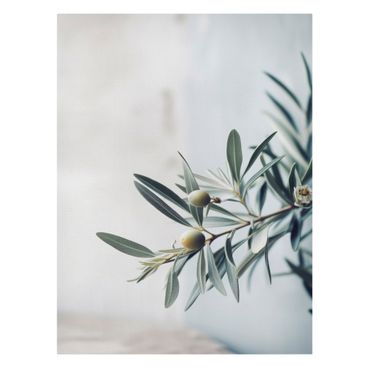 Print on canvas - Delicate olive branch in blossom - Portrait format 3:4