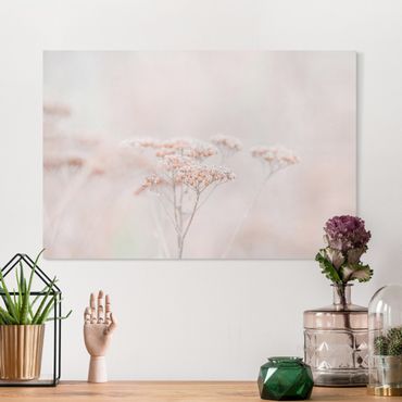 Canvas print - Pale Pink Wild Flowers