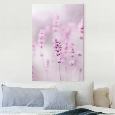 Canvas print - Pale Purple Lavender