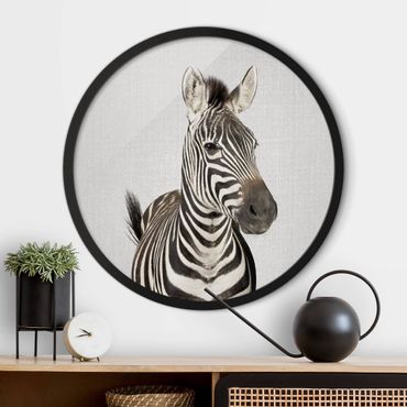 Circular framed print - Zebra Zilla